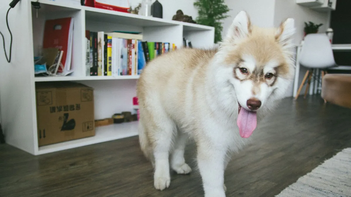 Best Rugs for Dogs That Slip on Hardwood Floors