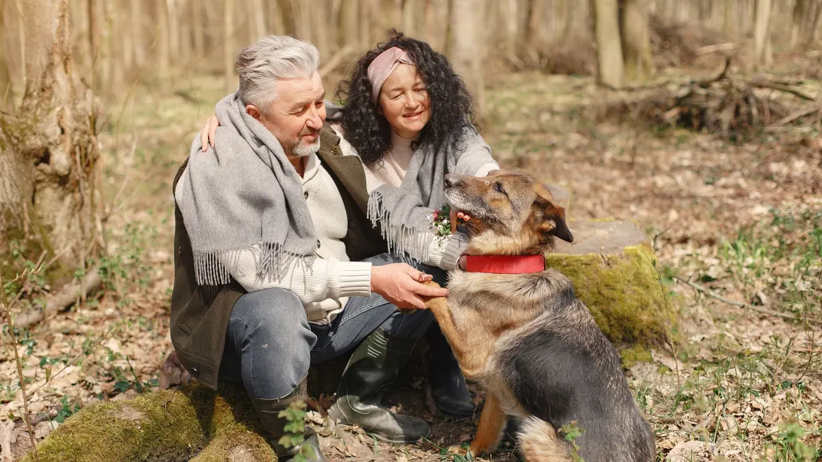 Best Ways to Prevent Senior Dogs From Slipping