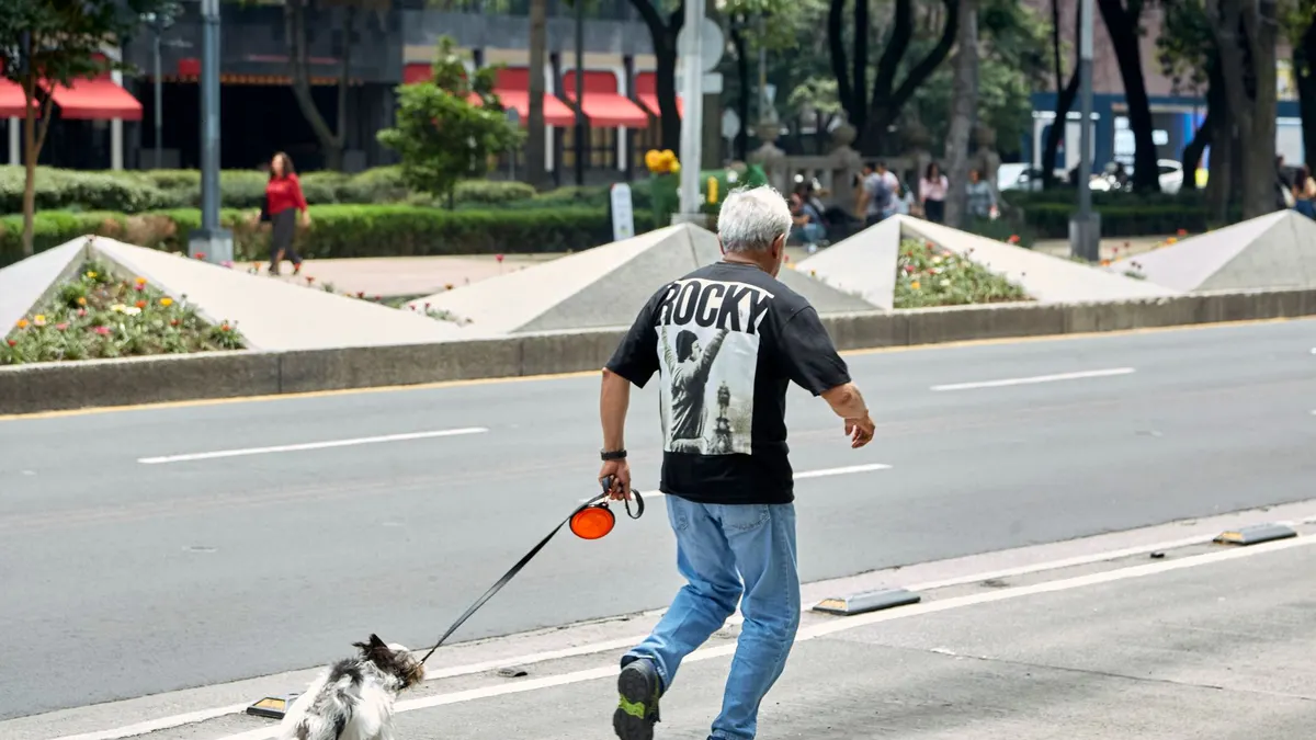 How Much Exercise Does a Senior Dog Need?
