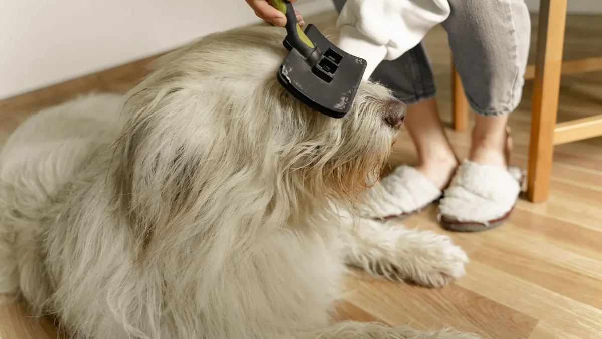 How to Groom an Older Dog That Can’t Stand for Long