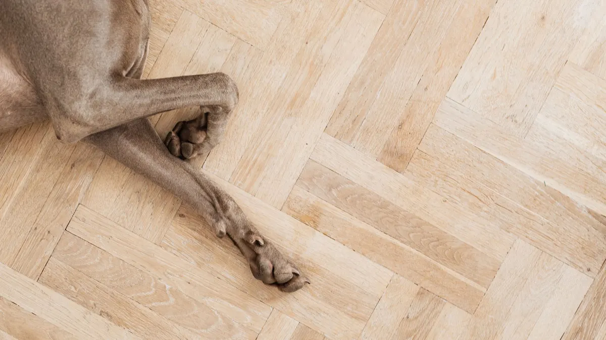 How to Make Hardwood Floors Safer for Dogs