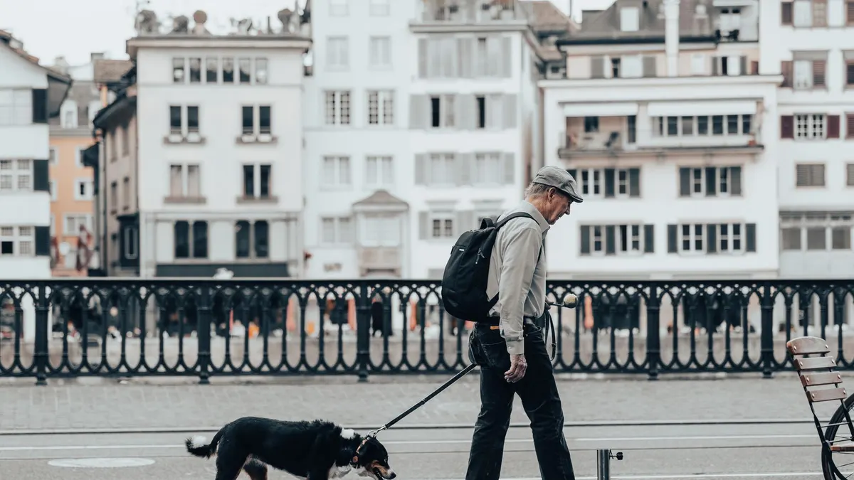 Senior Dog Daily Care Checklist