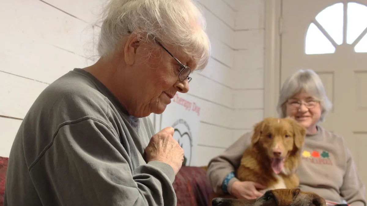 Gentle Movement Ideas for Senior Dogs