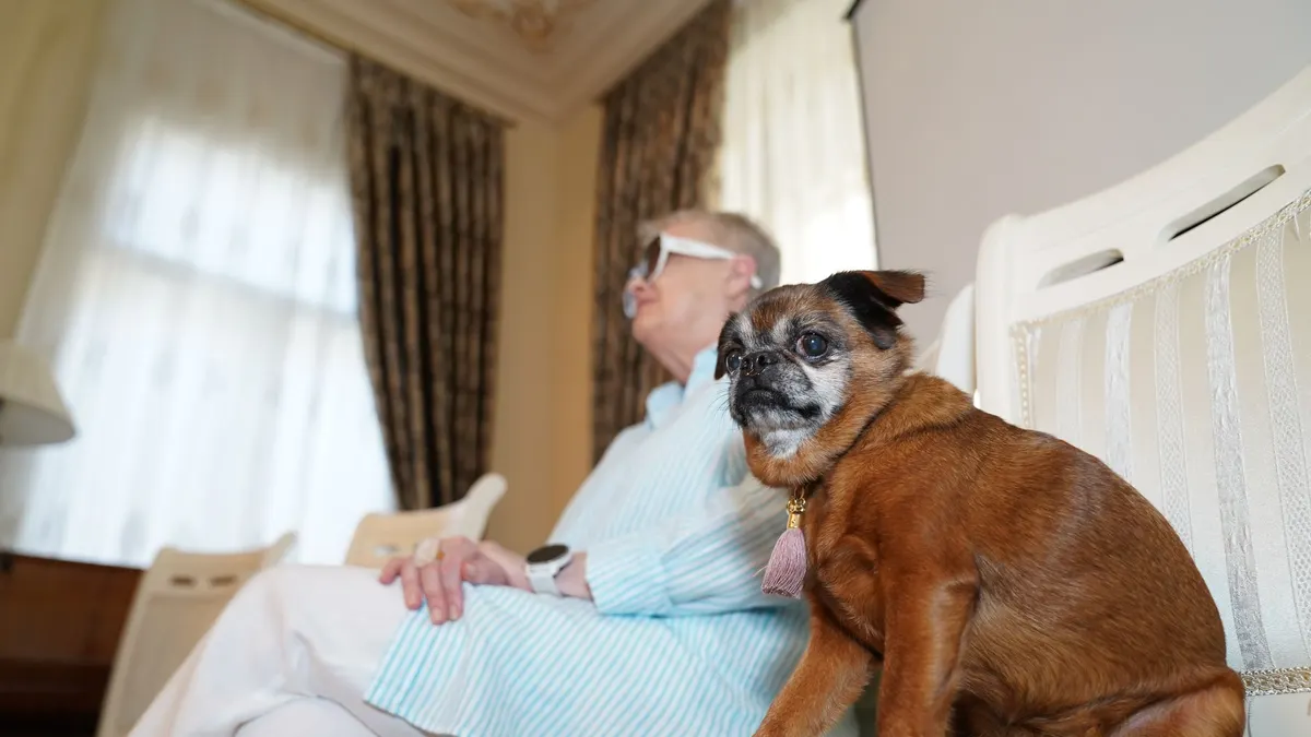 Should Senior Dogs Sleep Upstairs or Downstairs?