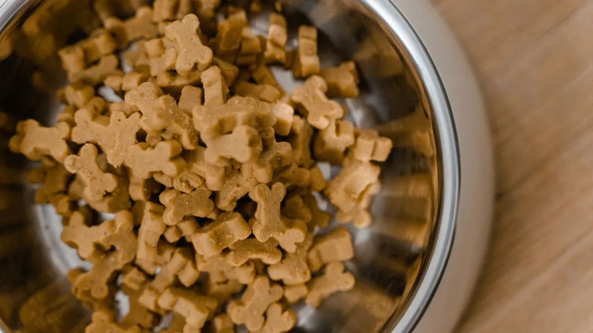 Wet vs Dry Food for Senior Dogs